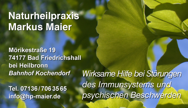 Heilpraktiker Homöopathie Schüssler-Salze Heilbronn